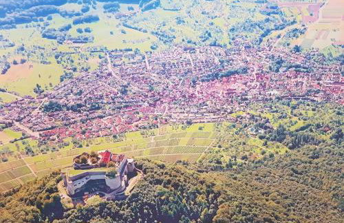 Studio 22, Terrasse,Pool,Sauna,Ofen - Foto 21