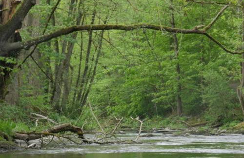 Wohnung nahe dem Skigebiet in Wehrstapel - Foto 22