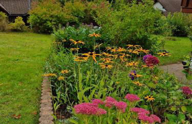 FeWo im Grünen - Foto 8