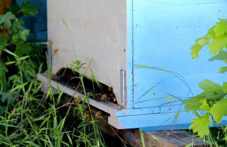 Palazzo Minelli - Foto 70