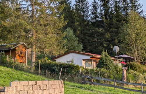 Ferienhaus Goldisthal - Photo 35