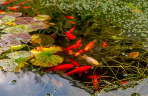 3 bed in Sandown 85985 - Foto 17