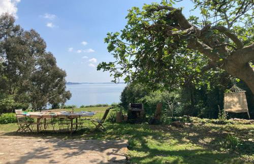 Site exceptionnel accès mer grands espaces - Foto 49