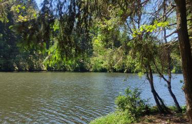 Pod Wieżą u Kory - Foto 15