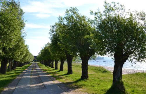 Apartments Fürstenvilla Putbus - Foto 25