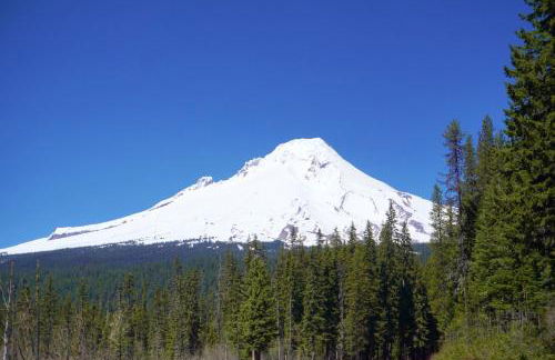 Secluded Forest Cabin in Rhododendron near Mt Hood Village in Oregon - Foto 12