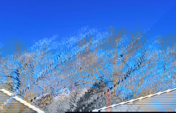 Glen Mary Apartments - Photo 11