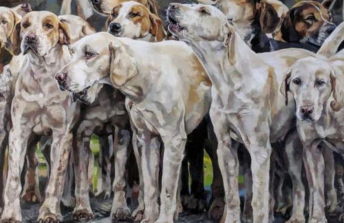 The Piggery - Foto 52