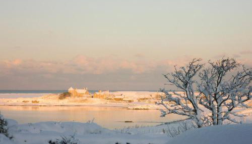 Y Stabal - Uk37403 - Photo 4