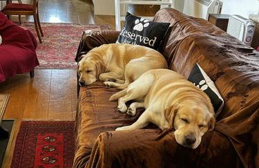 Welsh Gatehouse A Historic Castle Retreat that Welcomes Dogs and Electric Vehicles - Photo 44