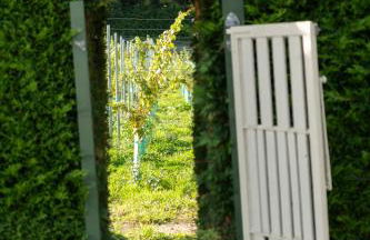Cosy Mirrored House next to a Magical Swimming Lake - Foto 21