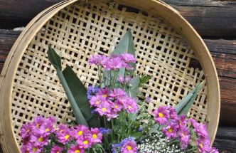 Casa Tania - Foto 38