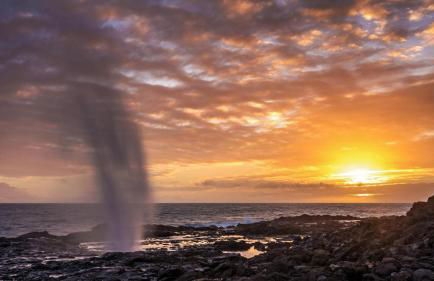 Malia Makai - G - Starfish - Foto 34