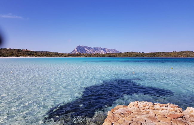 Terry's House - Photo 29