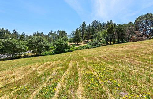 Sebastopol Farmhouse on 3 acres, fiber, kid friendly - Foto 59