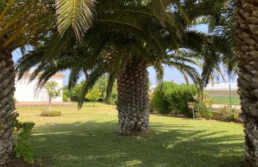 Mirador las Cumbres Conil - Piscina Jardín XL - Foto 37