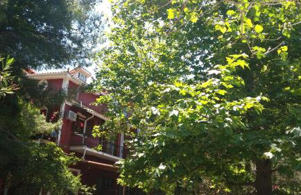 Belvedere Zakynthos Studios - Foto 57