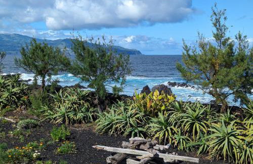 Casa Baleia Laranja Ocean-Front - Photo 33