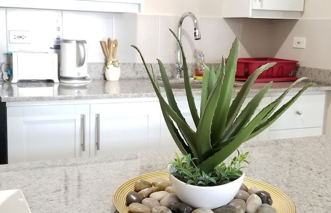 New Kingston Guest Apt at Kingsway - Foto 4