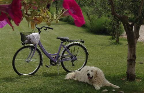 Agriturismo Casa Aurora - Foto 59