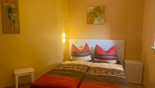 Weinrebe Oberhermsdorf nahe Dresden - Photo 4