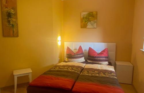 Weinrebe Oberhermsdorf nahe Dresden - Foto 4