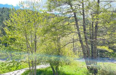 NadSan Case Sparse - Photo 16