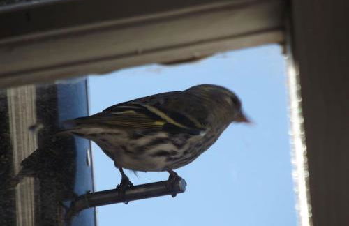 Cosy cottage flat - Foto 26