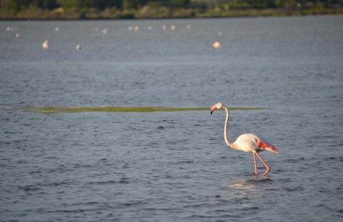 Maison de village rénovée ! - Photo 73