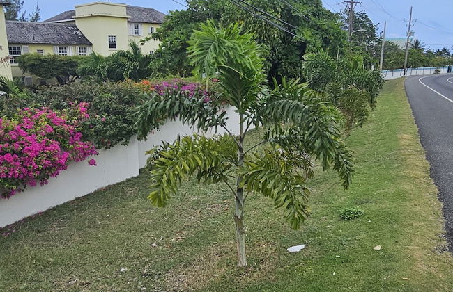 Apartment E6 - Foto 67