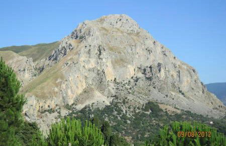 Ambra di mare - Foto 44