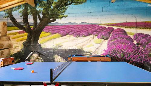 Maison Premium Hyper Calme - Joliment décorée avec vue dégagée - Jacuzzi Chauffé - Salle de jeux - Proche de toutes commodités - Foto 4, Game Room