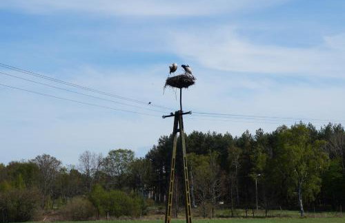 Gospodarstwo agroturystyczne ,, Pod Dębem'' - Foto 10