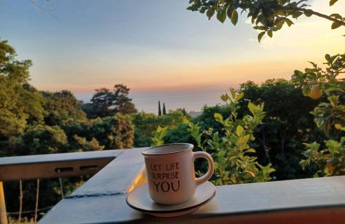 Zelis In Pelion Greece - Foto 21