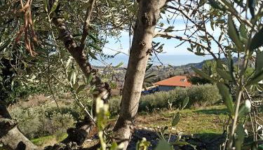 Casolare Azzurro - Foto 2