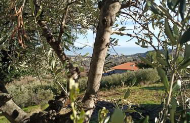 Casolare Azzurro - Foto 2