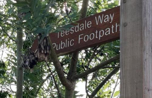 The Blue Cottage with luxurious Super King bed - Photo 41