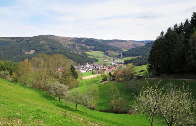 Hideaway Near Black Forest - Foto 27