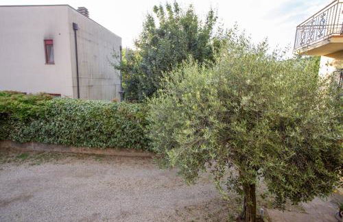 Il Gatto e la Luna - Foto 23