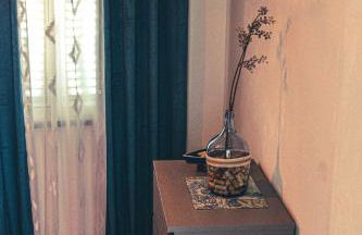 Casa Avós D'Ouro - Barqueiros, Mesão Frio, Douro - Photo 10