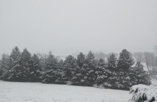 Baranie Wzgórze Ustroń Basen Sauna Plac Zabaw - Foto 54