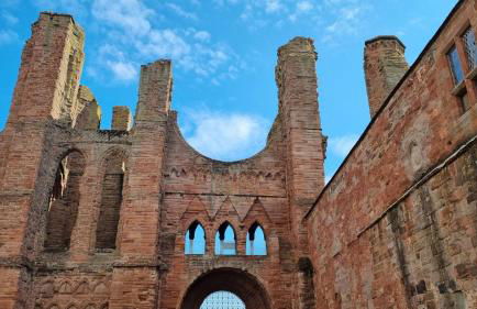 Wester Den - Photo 34