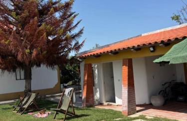 Quinta do Avô - Foto 52