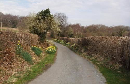 Detached cottage in the hills near Dolgellau - Foto 52