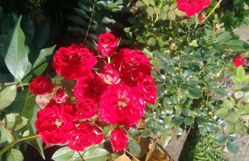 Mansão Adonai nas Cachoeiras de Penedo - Photo 13