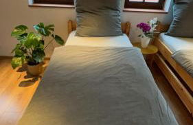 Fachwerkhaus zum Hirsch - Foto 12