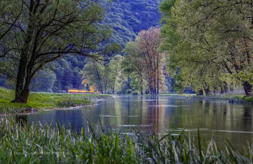 House Forest with HOT TUB - Foto 54