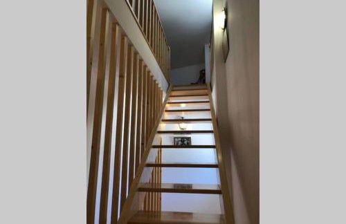 Grandfather's House - Foto 17