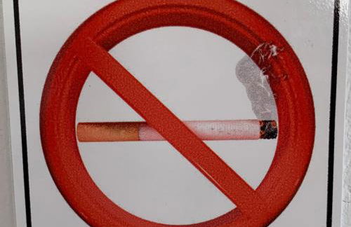 La Bandolaise à Perdika - Foto 30