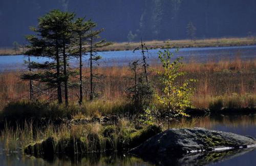 Holiday apartment with 3 bedrooms - Foto 29